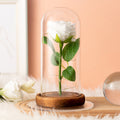 Flannelette Rose Lamp Glass Cover Immortal Flower